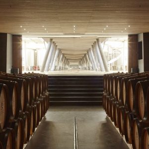 Vik Chile - Media Pensión