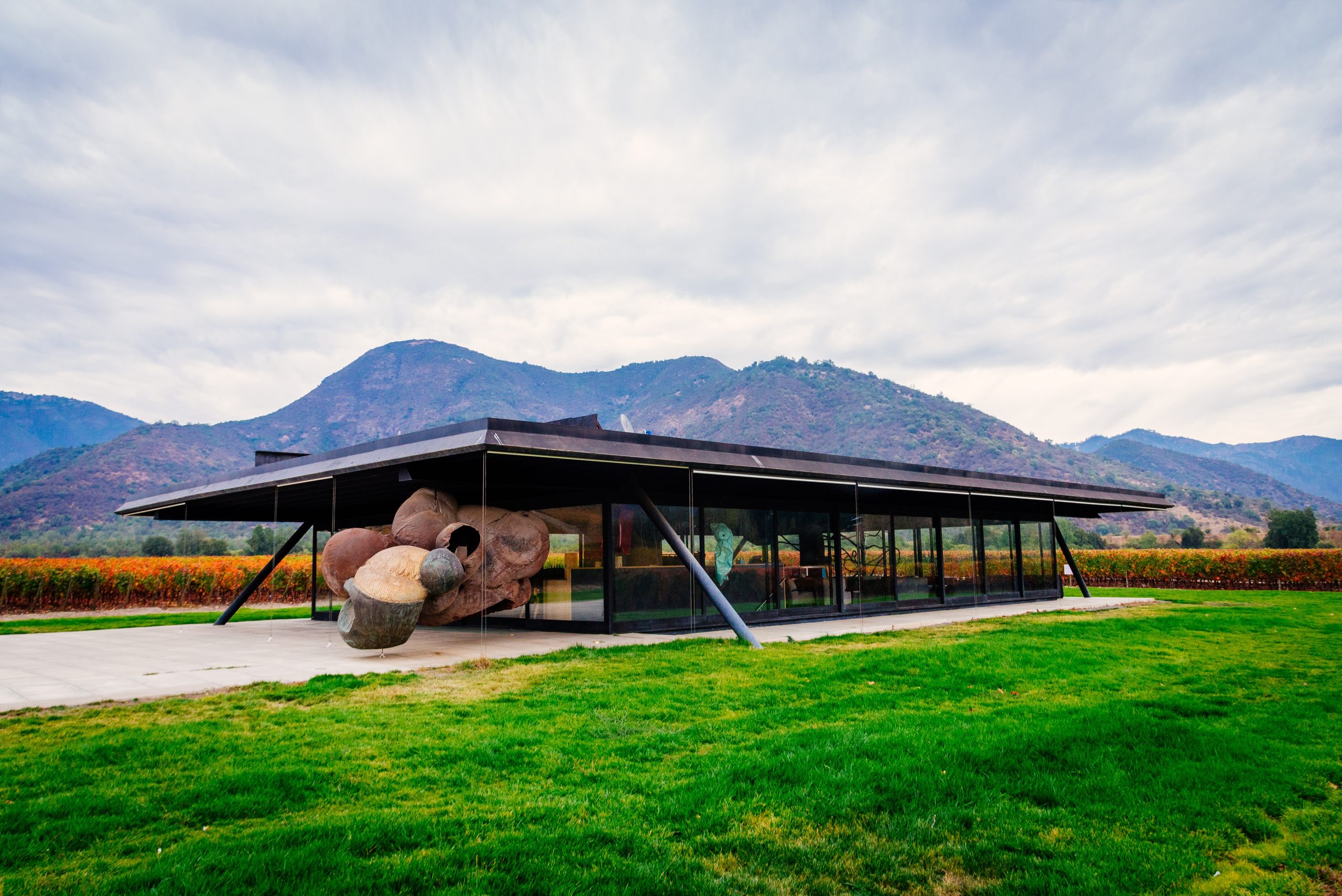 Vik Chile Winery – PAVILLION red
