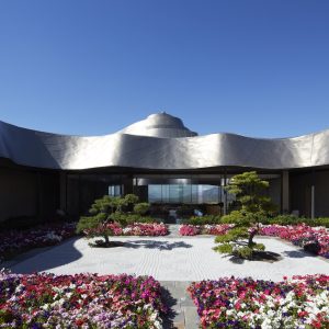 Vik Chile - Full Experience