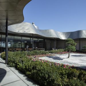 Vik Chile - Full Experience - Familiar